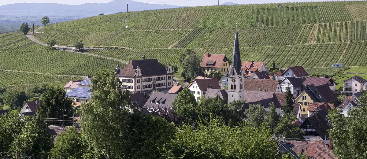 Stadtansicht Ebringen