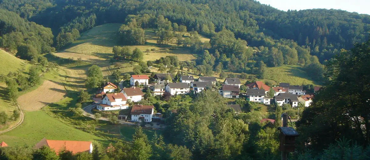 Stadtansicht Gorxheimertal