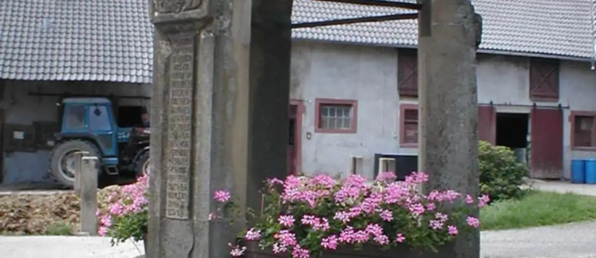 Stadtansicht Helmstadt-Bargen