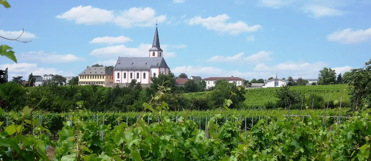 Stadtansicht Hochheim am Main