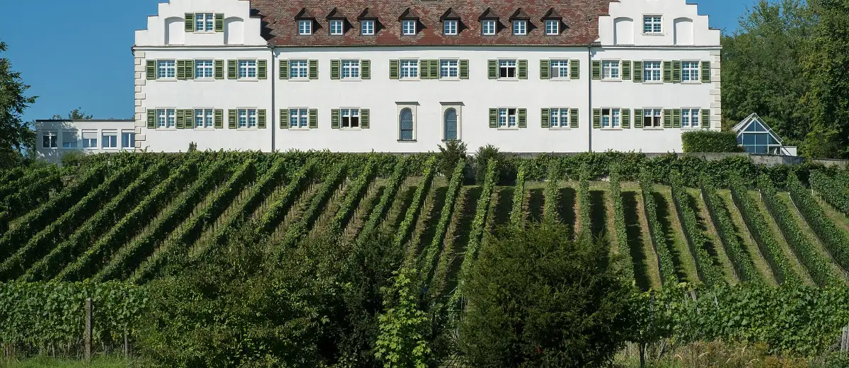 Stadtansicht Immenstaad am Bodensee