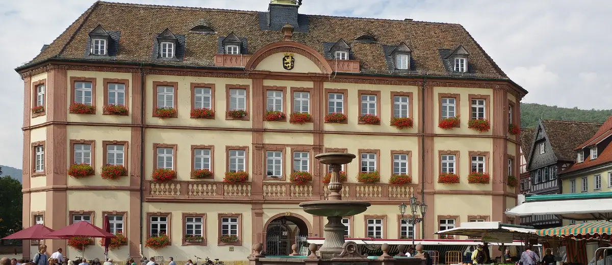 Stadtansicht Neustadt an der Weinstraße