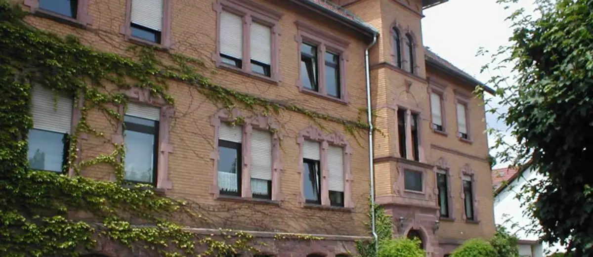 Stadtansicht Schwarzach