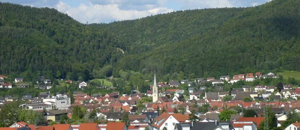 Stadtansicht Wurmlingen